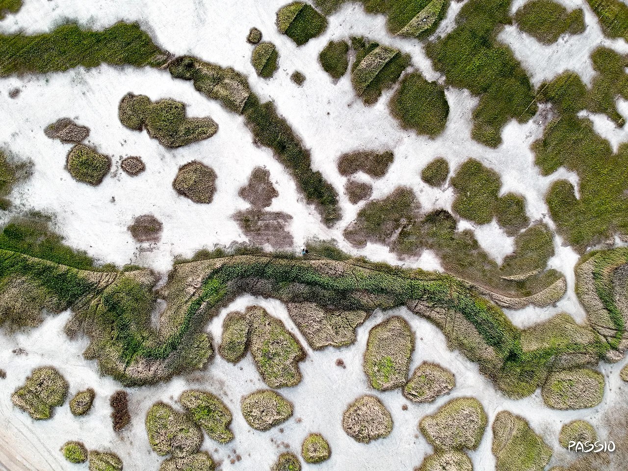 20190601-DJI_0548.JPG