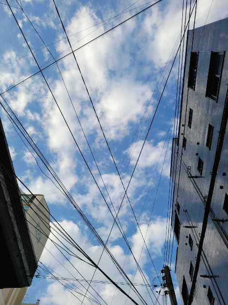 전깃줄하늘.jpeg