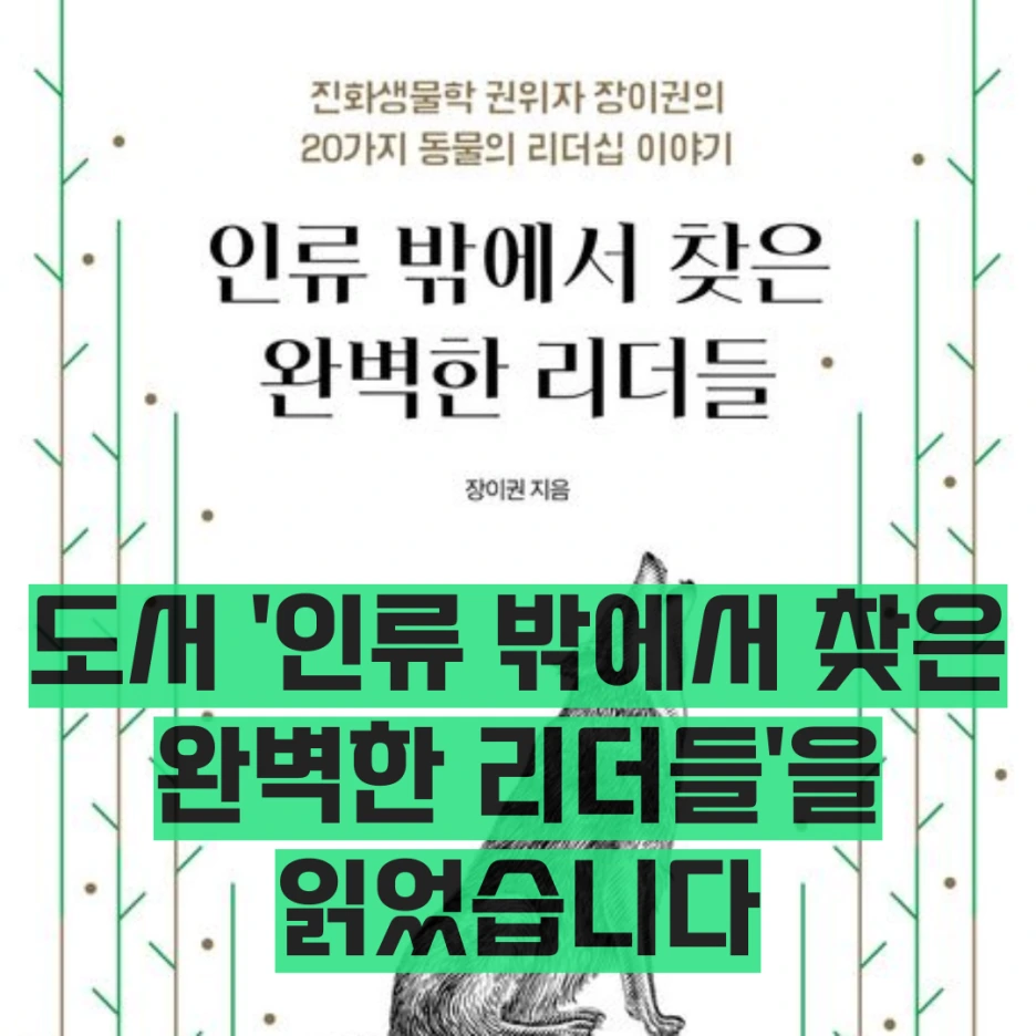 %EB%A6%AC%EB%8D%94%EA%B5%90%EC%9C%A1.png?type=w1