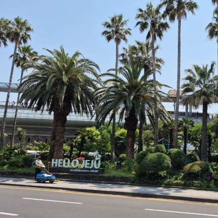 SE-d823f4f0-73ea-447a-8f87-4ffca37df2cc.png?type=w1