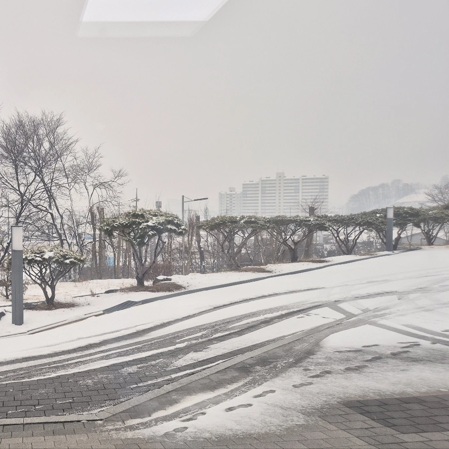 SE-0fa3c252-56d4-48e8-af87-5b22db6e4aec.png?type=w1