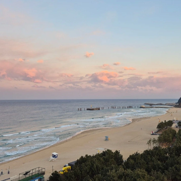 SE-299fb5de-b691-42ec-abb3-e209b1d6345b.png?type=w1