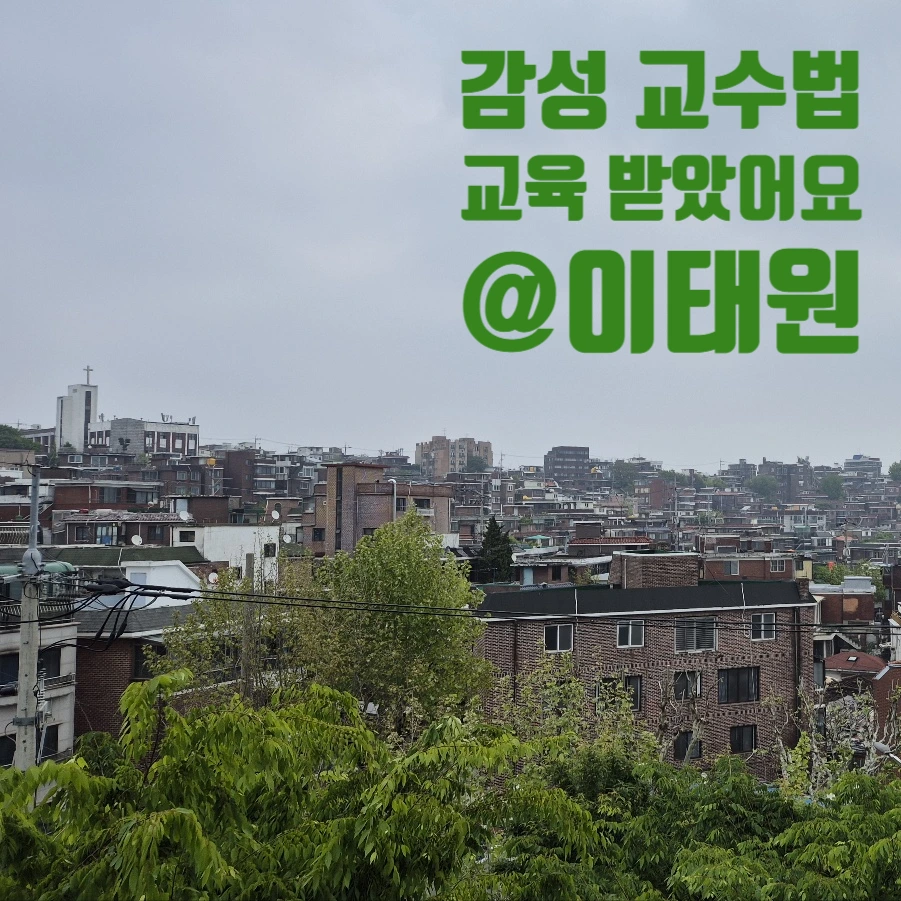 SE-6f311265-70e5-4919-9917-15899d2bef5c.png?type=w1