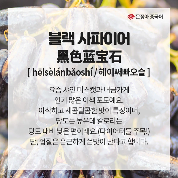 03_%EC%9D%B4%EC%83%89%EA%B3%BC%EC%9D%BC.jpg?type=w1