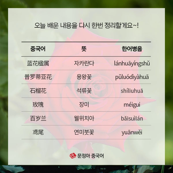 07_%EA%B5%AD%EA%B0%80%EB%B3%84%EB%82%98%EB%9D%BC%EA%BD%83%EB%B0%B0%EC%9A%B0%EA%B8%B0(-1).jpg?type=w1