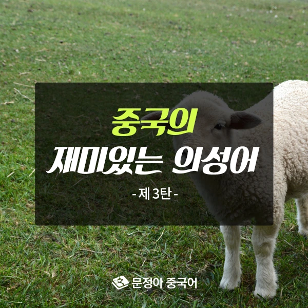 00_%EB%8F%99%EB%AC%BC%EC%9A%B8%EC%9D%8C%EC%86%8C%EB%A6%AC%EC%BB%A4%EB%B2%84600x600.jpg?type=w1