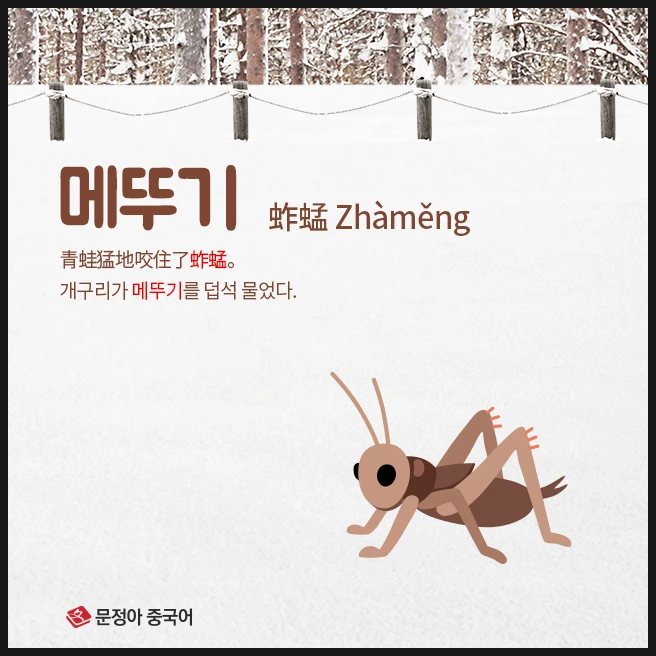 SE-60c3e774-132c-47ae-8553-313e8e997875.jpg?type=w1