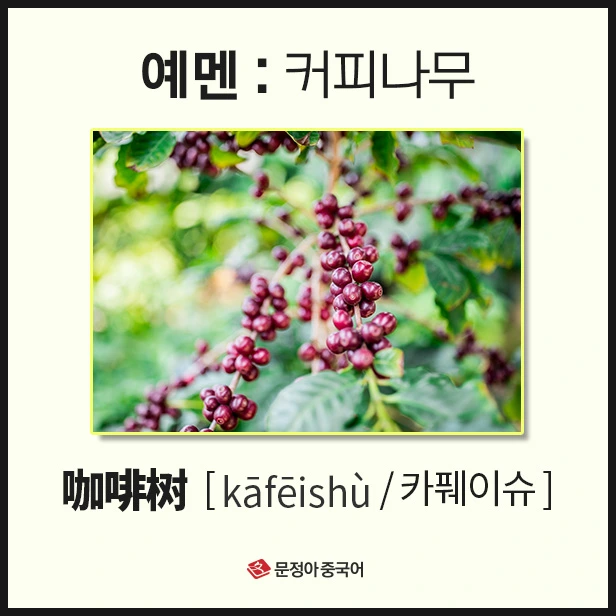 SE-27b3131d-d3ca-4047-8e64-765266aef44b.jpg?type=w1