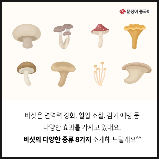 SE-512c1867-70cc-4cd1-89b3-e19c82f1a0d4.jpg?type=w1