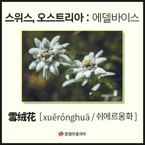 SE-0c068334-8041-4fd4-874f-c70a4761d78e.jpg?type=w1