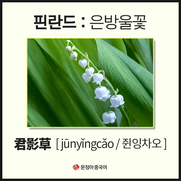 SE-2d302ff5-1155-4743-88a8-1f2b3cac3b92.jpg?type=w1