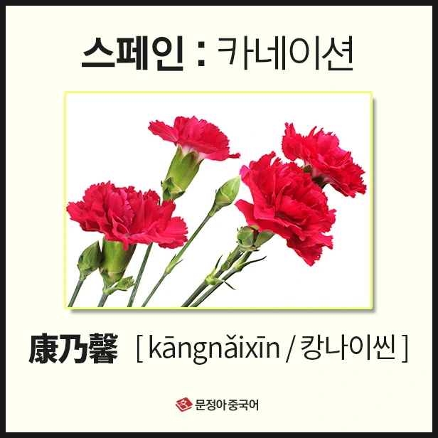 SE-871f969e-0884-4141-9035-f067f2a9c931.jpg?type=w1