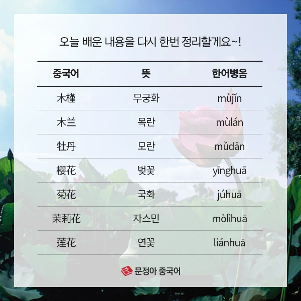 07_%EA%B5%AD%EA%B0%80%EB%B3%84%EB%82%98%EB%9D%BC%EA%BD%83%EB%B0%B0%EC%9A%B0%EA%B8%B0.jpg?type=w1