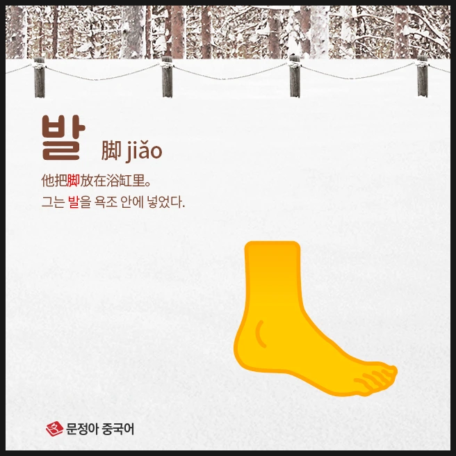 SE-06084f51-af1d-4647-9957-646870184e47.jpg?type=w1