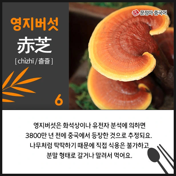 SE-bcded560-da45-44c6-b000-8b36043be30c.jpg?type=w1