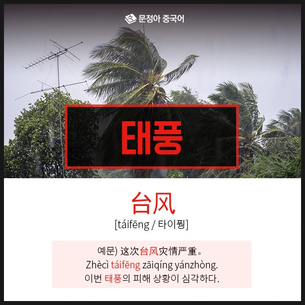 SE-576036a5-b340-4666-97f9-414b85c9c875.jpg?type=w1