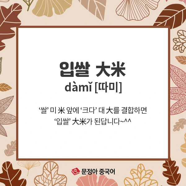 07_%EC%A4%91%EA%B5%AD%EC%96%B4%EC%96%B4%ED%9C%98%EA%B3%B5%EB%9E%B5.jpg?type=w1