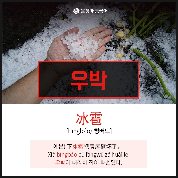 SE-1d0979c2-696f-4ea2-a2e2-1e05c6d31110.jpg?type=w1