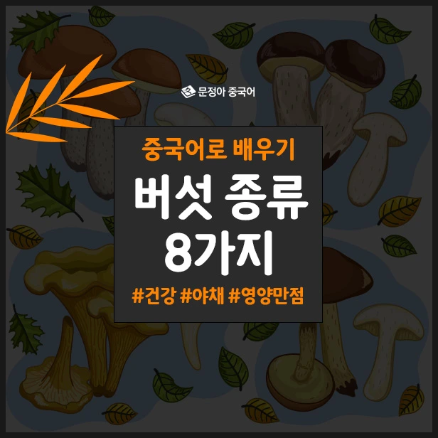 SE-ecb670f9-eb46-4cf5-9d11-8eab6cd762dc.jpg?type=w1