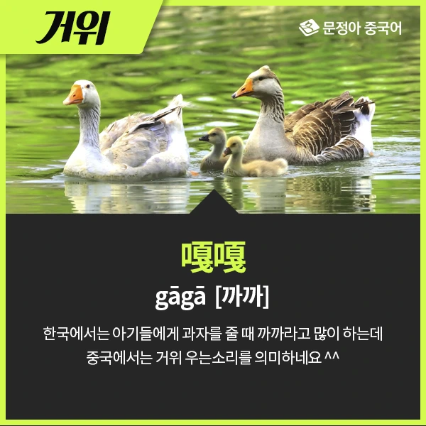 06_%EB%8F%99%EB%AC%BC%EC%9A%B8%EC%9D%8C%EC%86%8C%EB%A6%AC.jpg?type=w1