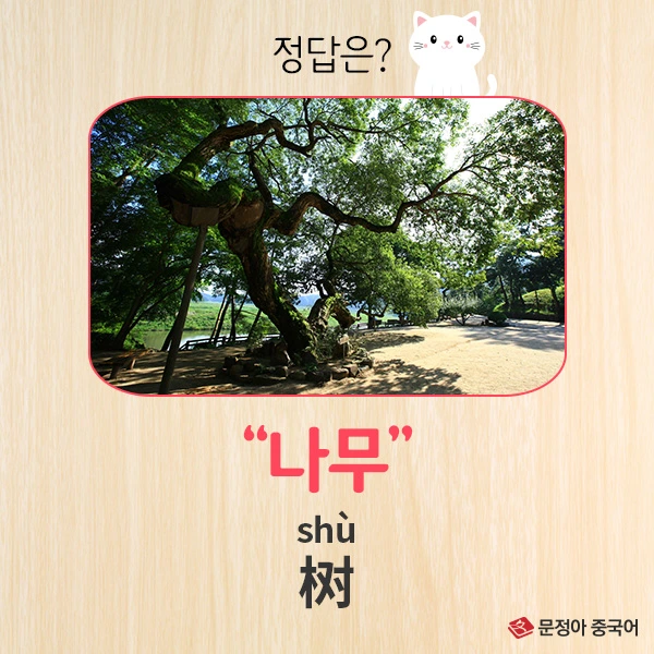 4%EC%A0%95%EB%8B%B5.jpg?type=w1