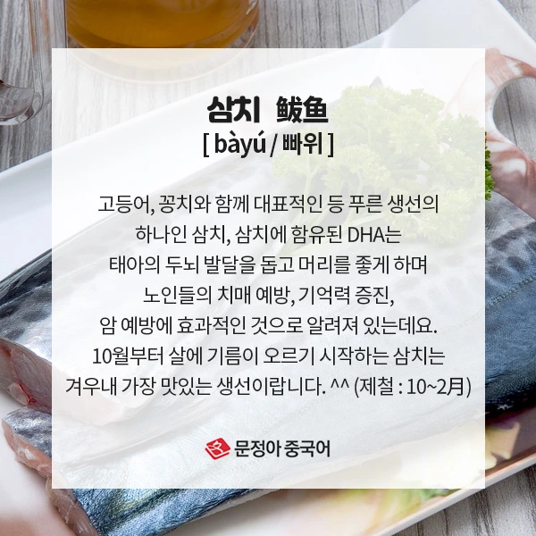 04_%EC%9B%94%EB%B3%84%EC%A0%9C%EC%B2%A0%EC%9D%8C%EC%8B%9D.jpg?type=w1