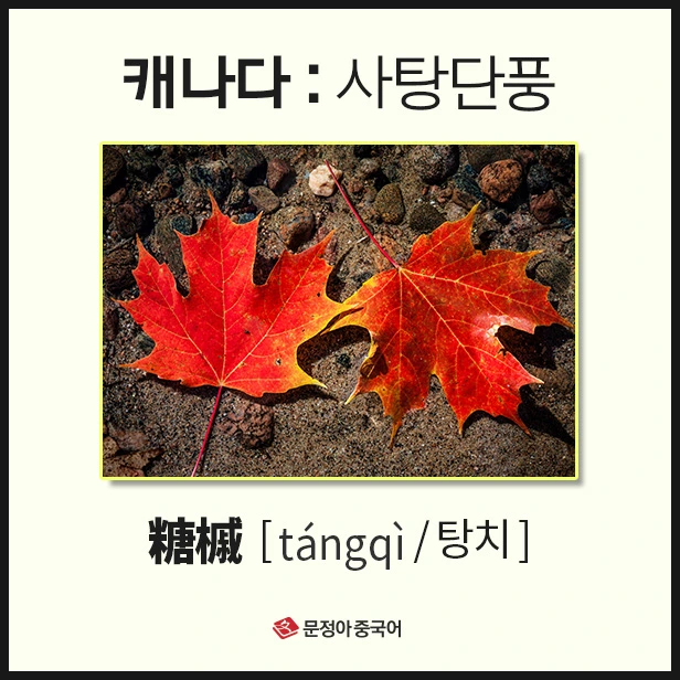 SE-95c84c1f-14c9-4989-bc1e-2e9af0e53eff.jpg?type=w1