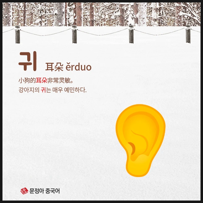 SE-eb5fe499-c2ba-4422-98c4-90b37a63bd99.jpg?type=w1