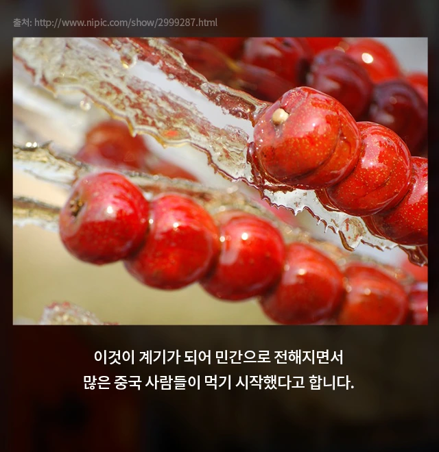 %ED%83%95%ED%9B%84%EB%A3%A8_08.jpg?type=w1