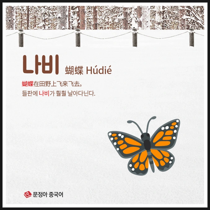 SE-d3e2b0b7-f209-45b9-bf3c-e2cf88df88e5.jpg?type=w1