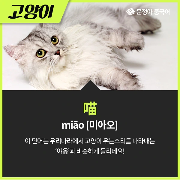 02_%EB%8F%99%EB%AC%BC%EC%9A%B8%EC%9D%8C%EC%86%8C%EB%A6%AC.jpg?type=w1