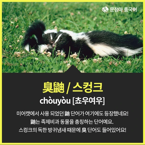 06_%EC%A4%91%EA%B5%AD%EC%96%B4%EB%A1%9C%EC%9E%98%EB%AA%A8%EB%A5%B4%EB%8A%94%EB%8F%99%EB%AC%BC.jpg?type=w1