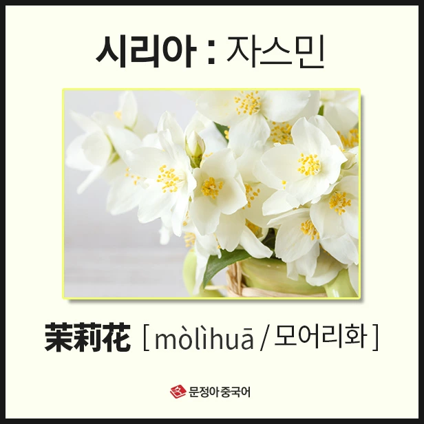 SE-c7e4d5a0-f993-43e0-93dc-a4a1fce29ecb.jpg?type=w1