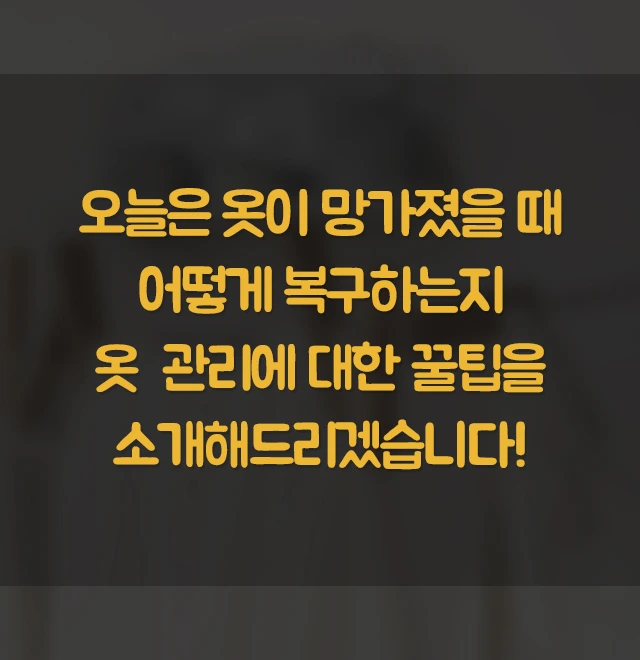 %EC%98%B7%EA%B4%80%EB%A6%AC1.jpg?type=w1