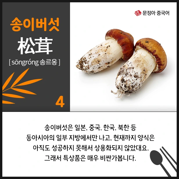 SE-c0eba1e0-5065-4468-b0bc-6245d5115d6d.jpg?type=w1