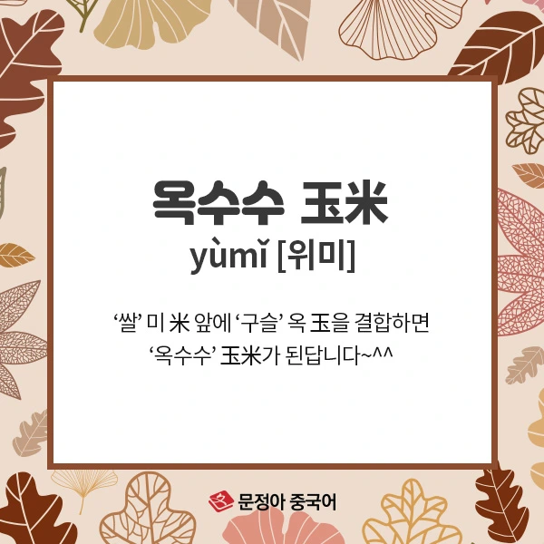 06_%EC%A4%91%EA%B5%AD%EC%96%B4%EC%96%B4%ED%9C%98%EA%B3%B5%EB%9E%B5.jpg?type=w1