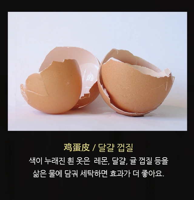 %EC%98%B7%EA%B4%80%EB%A6%AC%EB%82%B4%EC%A7%803.jpg?type=w1