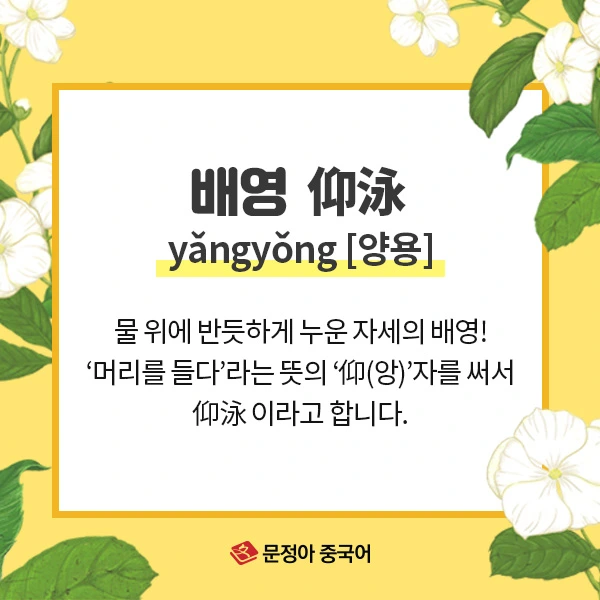 06_%EC%A4%91%EA%B5%AD%EC%96%B4%EC%96%B4%ED%9C%98%EA%B3%B5%EB%9E%B5.jpg?type=w1