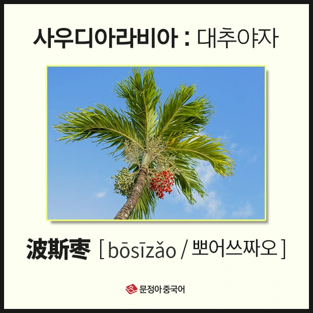 SE-cc4c7efb-4865-4735-b7ca-d52a77f5f197.jpg?type=w1