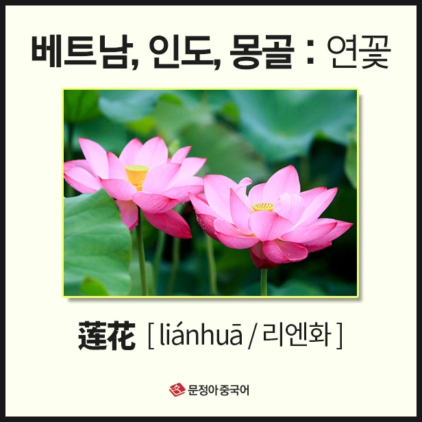 SE-9458d7ae-d2fe-4745-a93d-25cda63c8470.jpg?type=w1