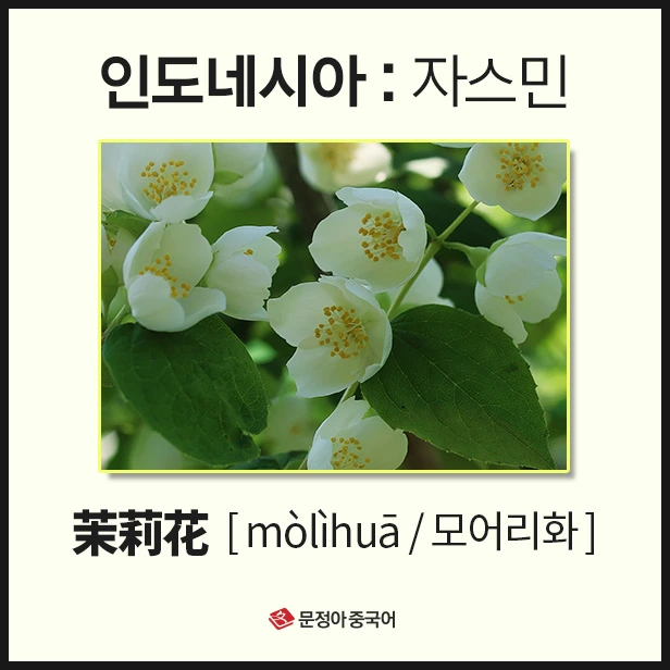 SE-f71ee618-c817-4d21-91ef-935341357a61.jpg?type=w1