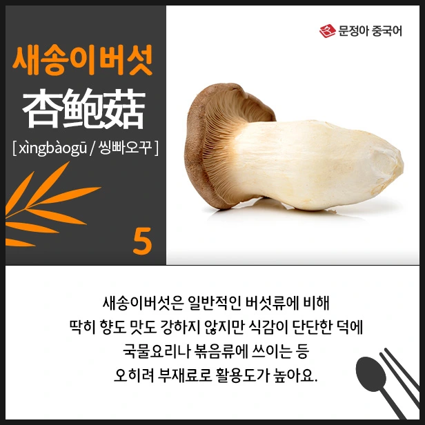 SE-787f1671-1bfb-4ce7-96b3-b561f9d191c3.jpg?type=w1