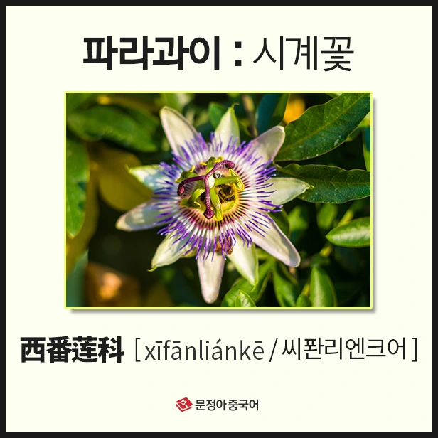 SE-5e092f61-6ca2-4264-8e86-c4050acaea2b.jpg?type=w1