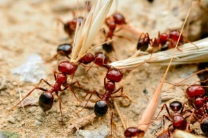 %EC%82%AC%EB%B3%B8_-GettyImages-698210764_(%EA%B0%9C%EB%AF%B8).jpg?type=w1