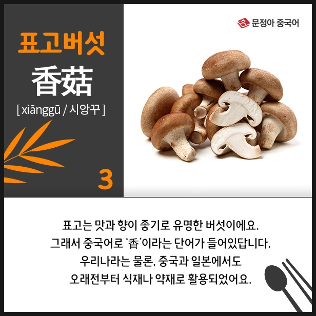 SE-8719ecd7-5c12-4dfa-a47f-cbfe060ff274.jpg?type=w1