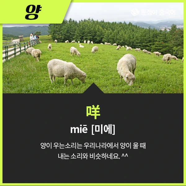 03_%EB%8F%99%EB%AC%BC%EC%9A%B8%EC%9D%8C%EC%86%8C%EB%A6%AC.jpg?type=w1