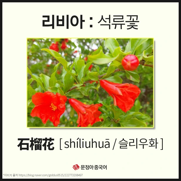 SE-7a4289b4-74ea-4a58-990f-9c4f8390a02b.jpg?type=w1