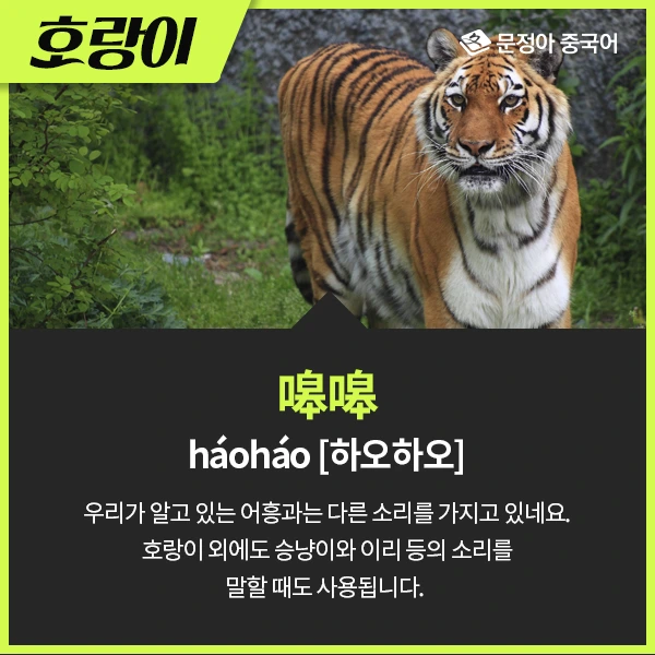 02_%EB%8F%99%EB%AC%BC%EC%9A%B8%EC%9D%8C%EC%86%8C%EB%A6%AC.jpg?type=w1