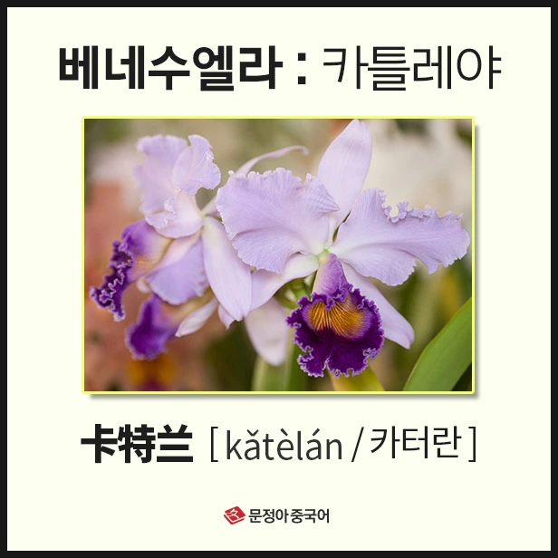 SE-af805de1-5176-4ade-bac6-03c401b7b662.jpg?type=w1