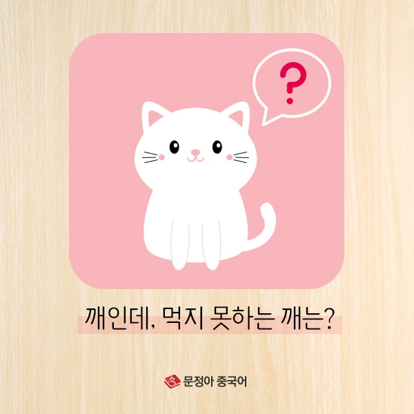 2%EB%AC%B8%EC%A0%9C.jpg?type=w1